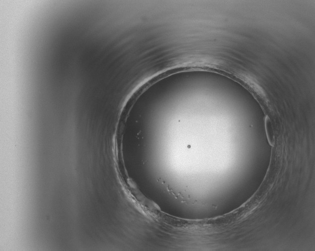 X0000072500936200607290102