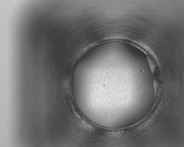 X0000072500937200607290102