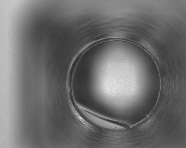 X0000072500939200607290102