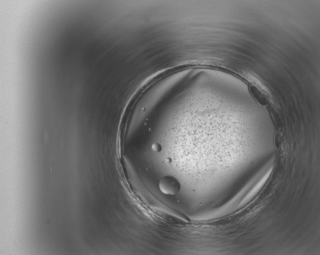 X0000072500940200607290102