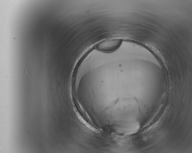 X0000072500941200607290102