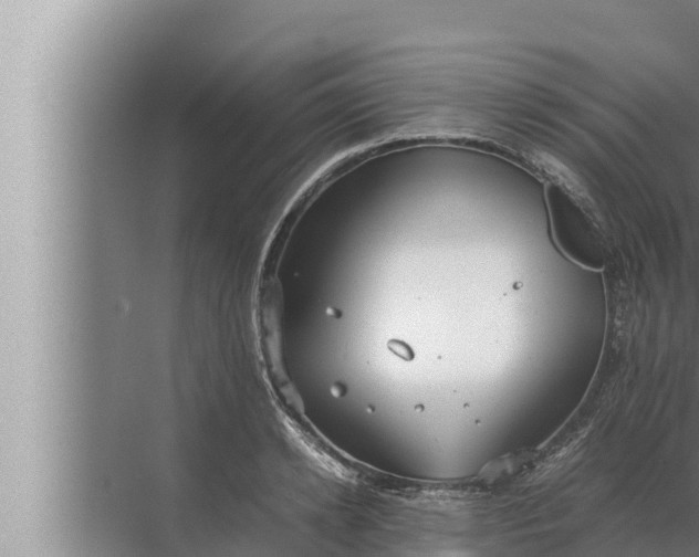 X0000072500942200607290102