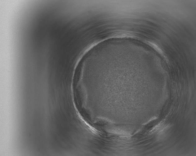 X0000072500943200607290102