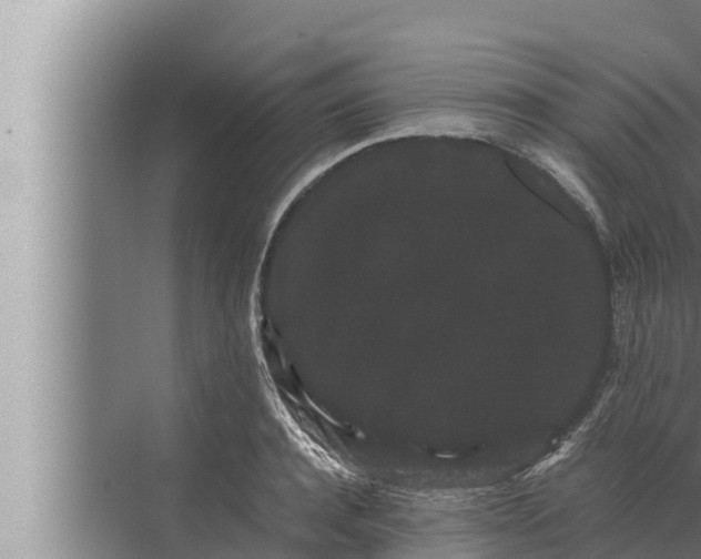 X0000072500944200607290102