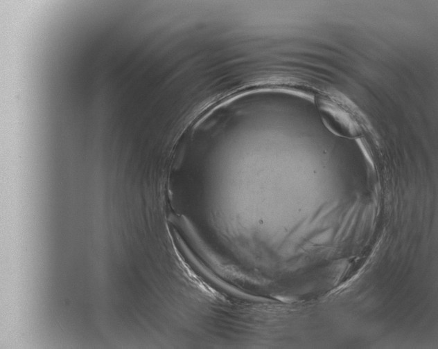 X0000072500945200607290102