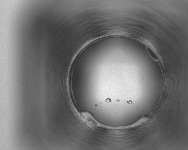 X0000072500947200607290102