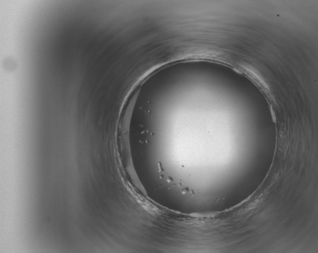 X0000072500948200607290102