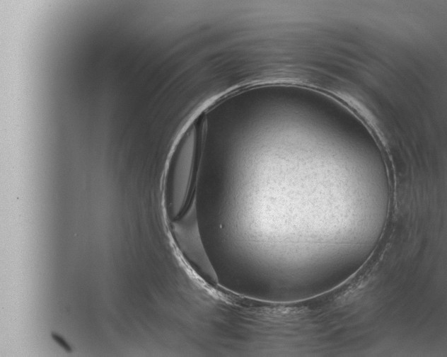 X0000072500949200607290102