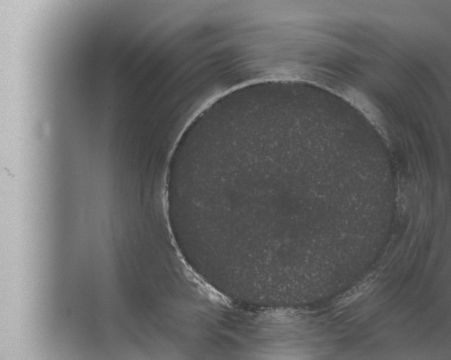 X0000072500950200607290102