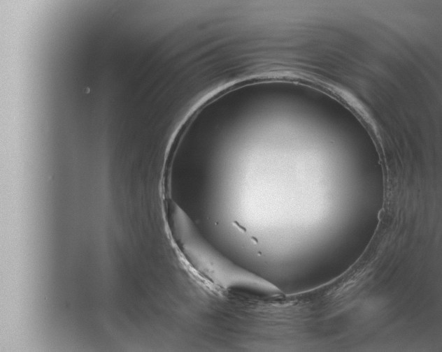 X0000072500951200607290102