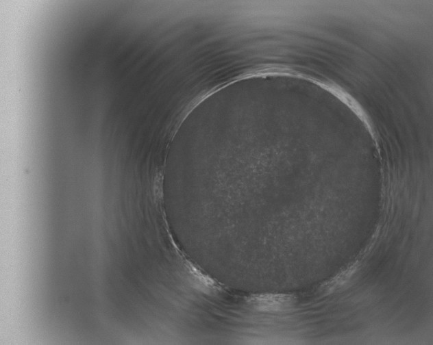 X0000072500953200607290102