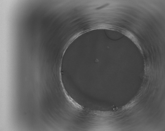 X0000072500954200607290102