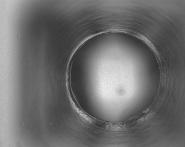 X0000072500955200607290102