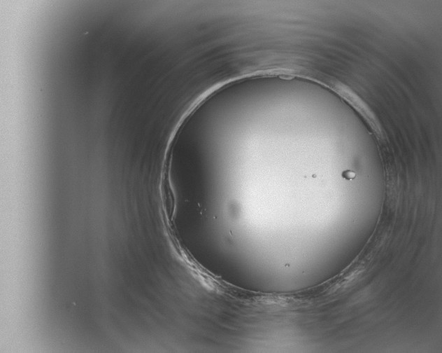 X0000072500956200607290102