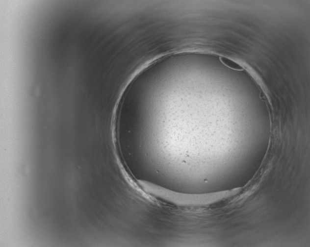 X0000072500957200607290102