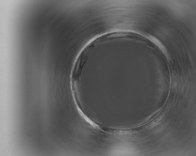 X0000072500958200607290102