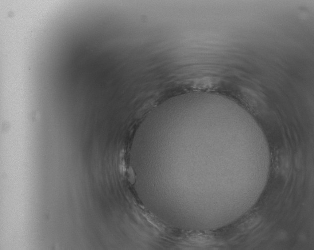 X0000072500962200607290101