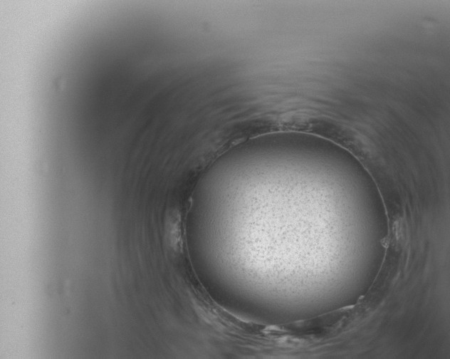 X0000072500963200607290101