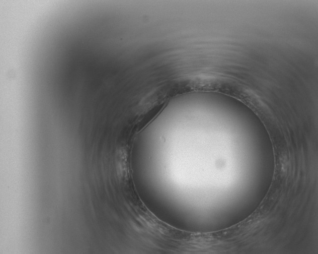 X0000072500964200607290101