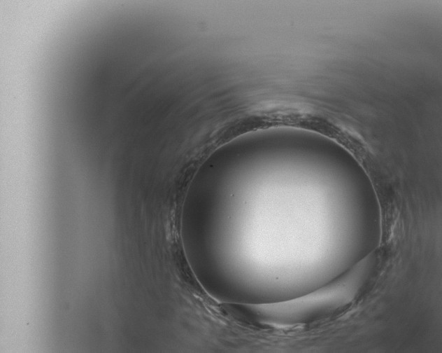 X0000072500965200607290101