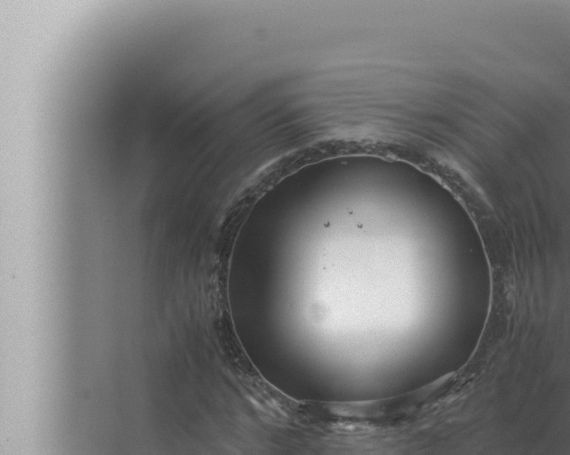 X0000072500968200607290101