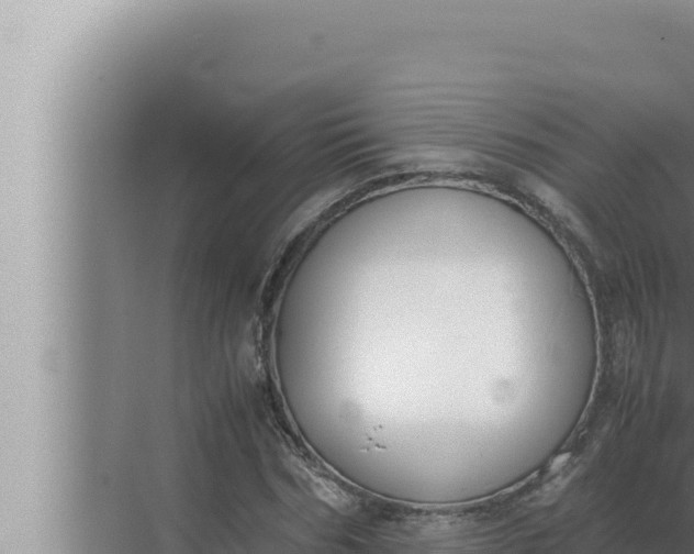 X0000072500970200607290101