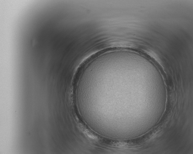 X0000072500971200607290101