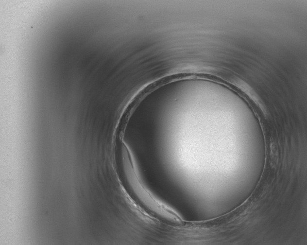 X0000072500972200607290101