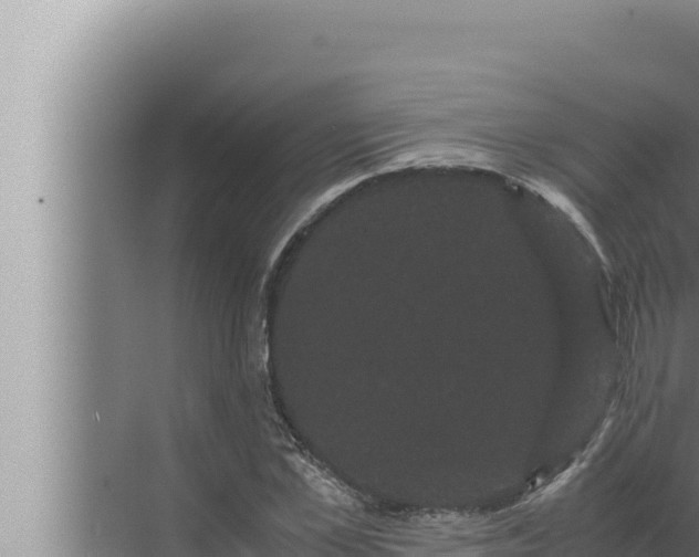 X0000072500973200607290101