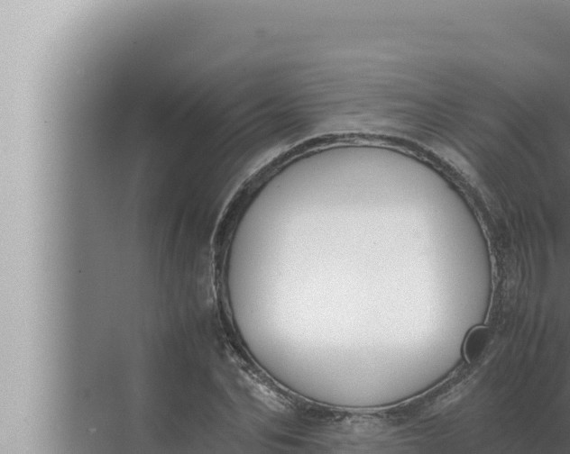 X0000072500974200607290101