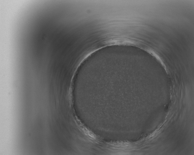 X0000072500975200607290101