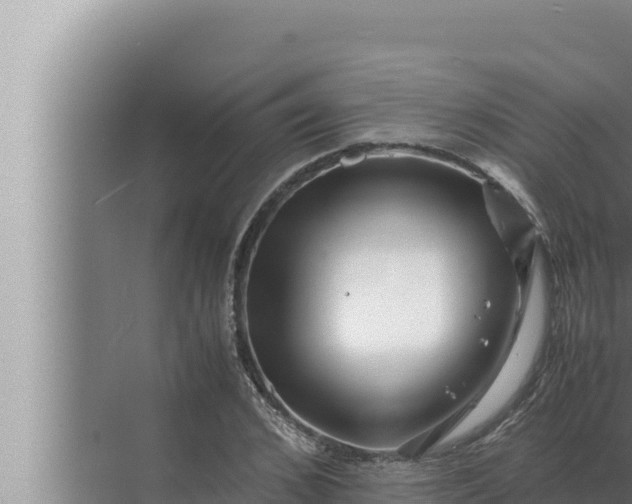 X0000072500976200607290101