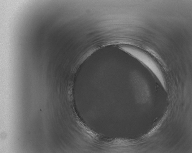 X0000072500977200607290101