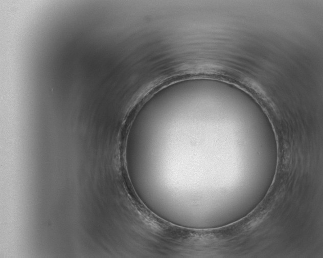 X0000072500978200607290101