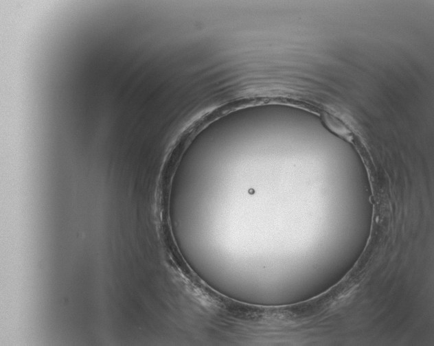 X0000072500979200607290101