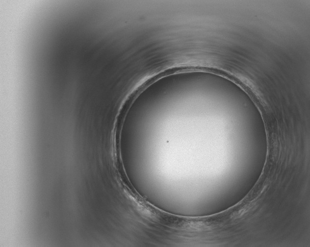 X0000072500982200607290101