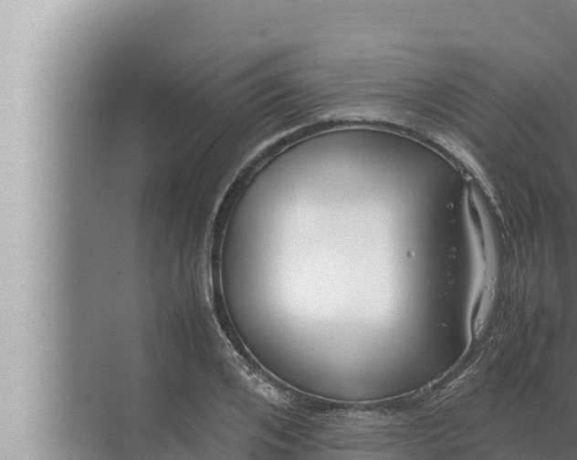 X0000072500984200607290101