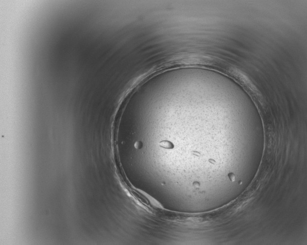 X0000072500986200607290101