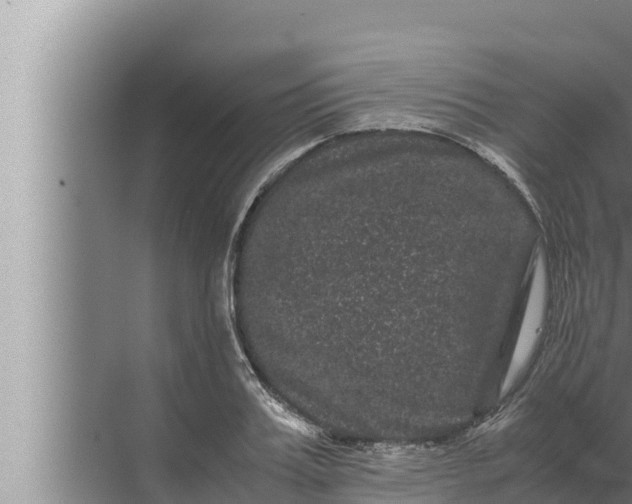 X0000072500987200607290101