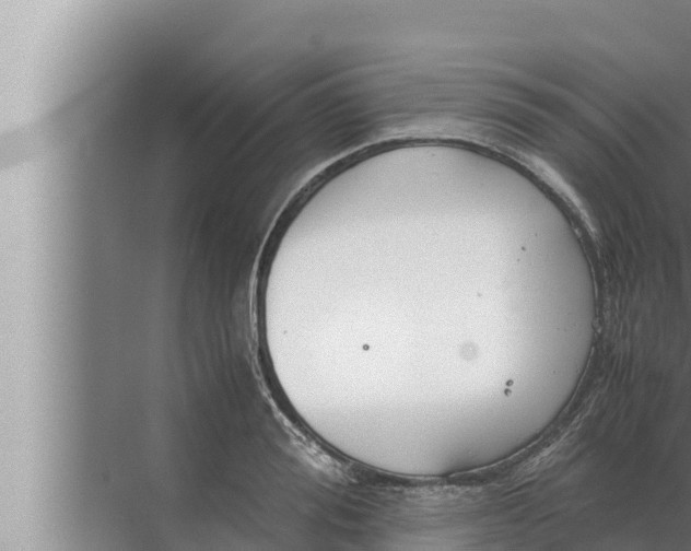 X0000072500988200607290101