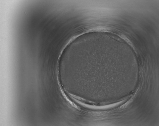 X0000072500989200607290101