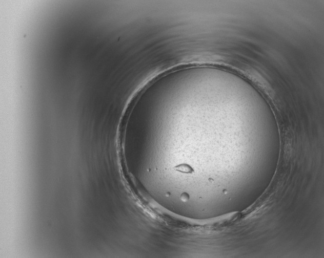 X0000072500990200607290101