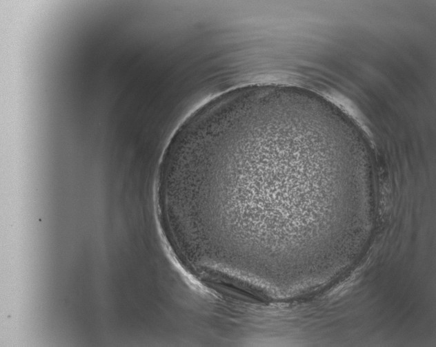 X0000072500991200607290101