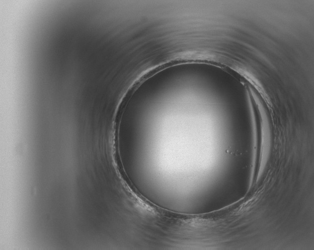 X0000072500992200607290101