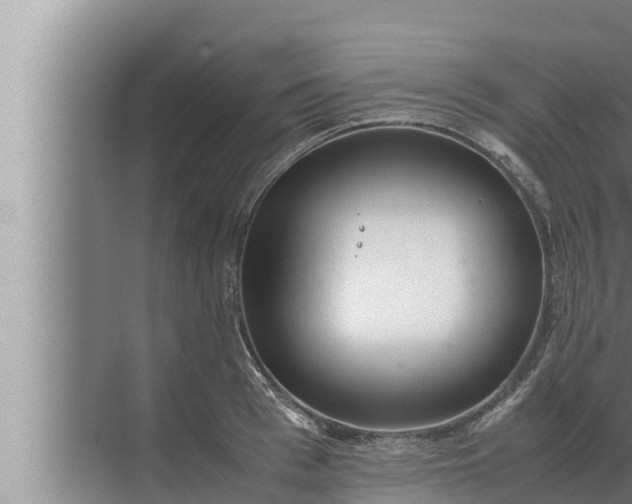 X0000072500993200607290101