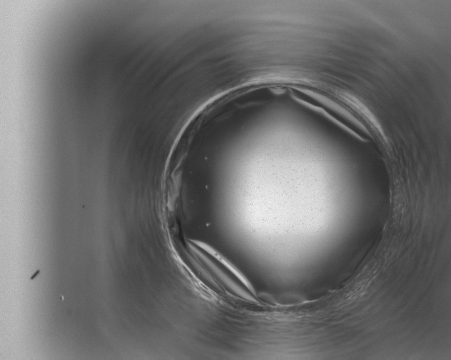 X0000072500996200607290101