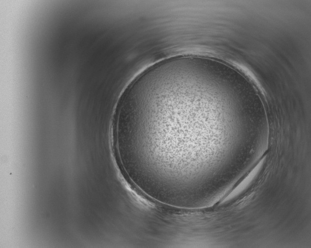 X0000072500999200607290101