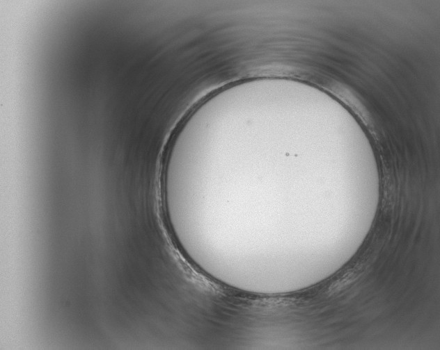 X0000072501000200607290101