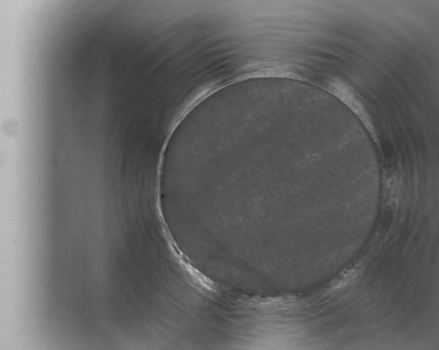 X0000072501002200607290101