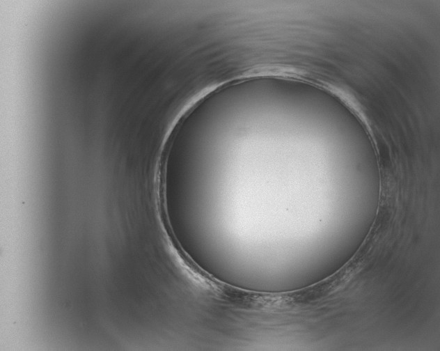 X0000072501003200607290101